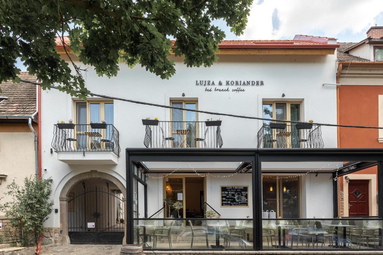 Bed and Breakfast Lujza & Koriander Vác Exterior foto